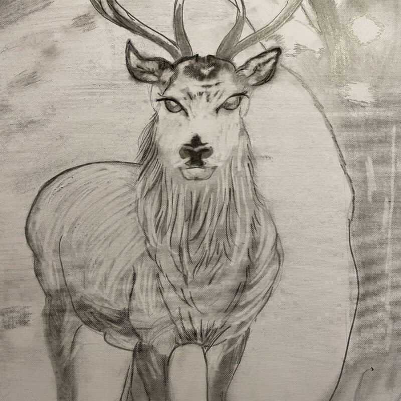 The Stag by Nisha Lino