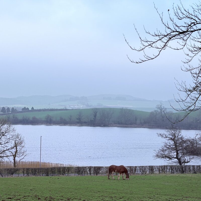 Carlingwark Loch