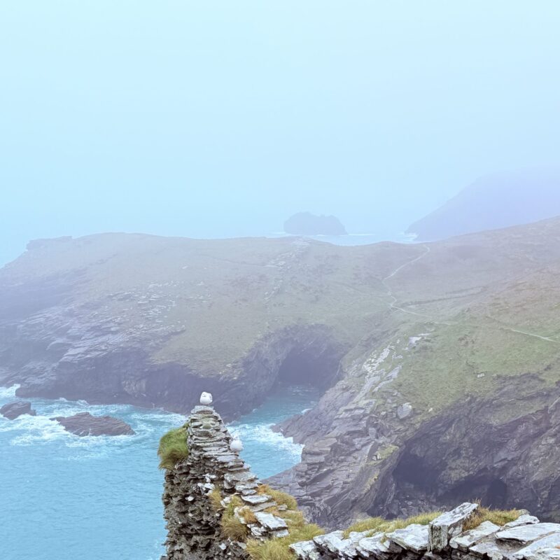 Tintagel Castle #003