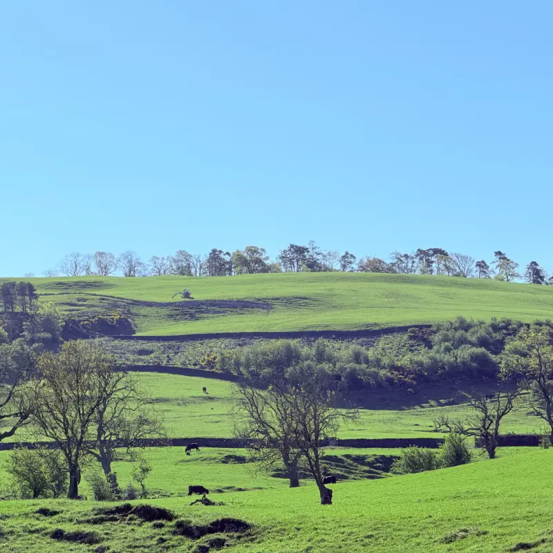 Springholm Scotland